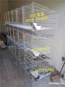供各种鸡笼鸽笼兔笼狐狸笼貉笼宠物笼及各种饮水器