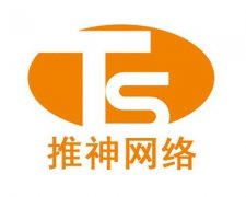 广州推神网络大网红带货电商运营保销量 平台