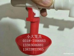 生产鸽子笼兔子笼鹌鹑笼鹧鸪笼运输笼鸡笼鸟笼狗笼貉笼猫笼 鸡笼