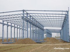 彩钢大棚 钢结构厂房 活动板房