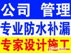 南昌专业屋顶楼面防水 地下渗水 外墙渗水（专业的服务质量）