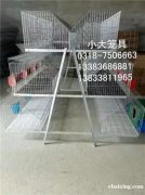 出售鸡笼鸭笼鸽子笼兔子笼狗笼鸟笼鹌鹑笼鹧鸪笼宠物笼运输笼猫笼