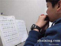 长春专业口琴培训小提琴电子琴培训